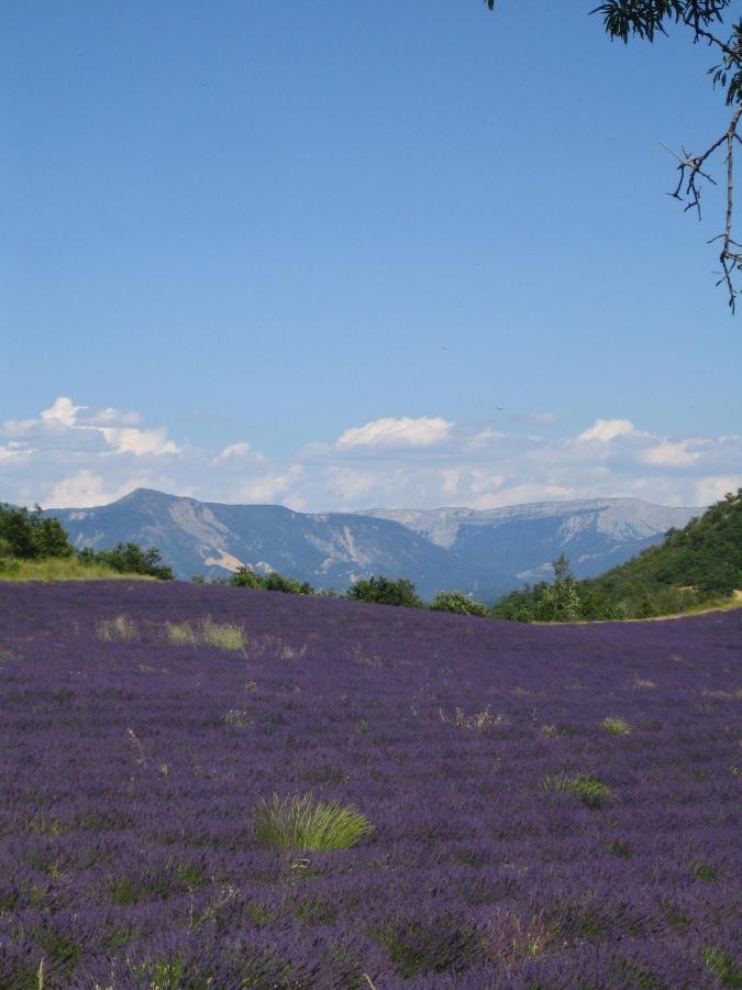 Les Vieux Murs Montfort  Стая снимка