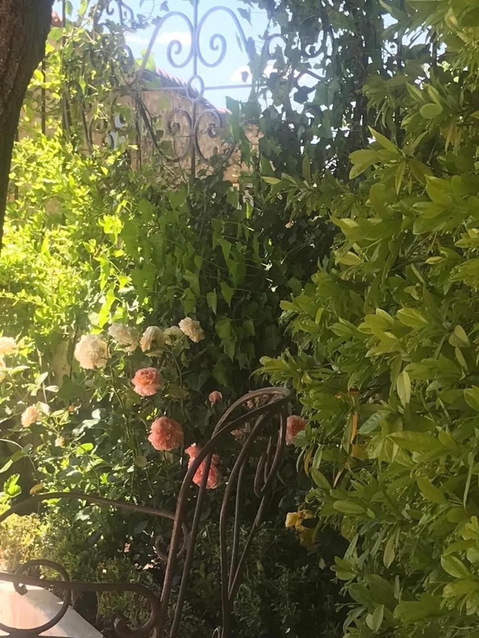 Les Vieux Murs Montfort  Екстериор снимка