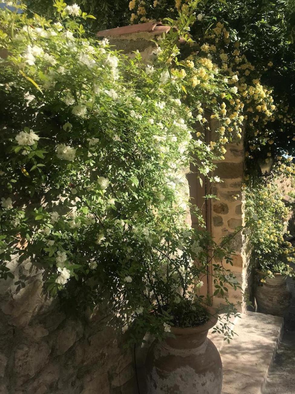 Les Vieux Murs Montfort  Екстериор снимка