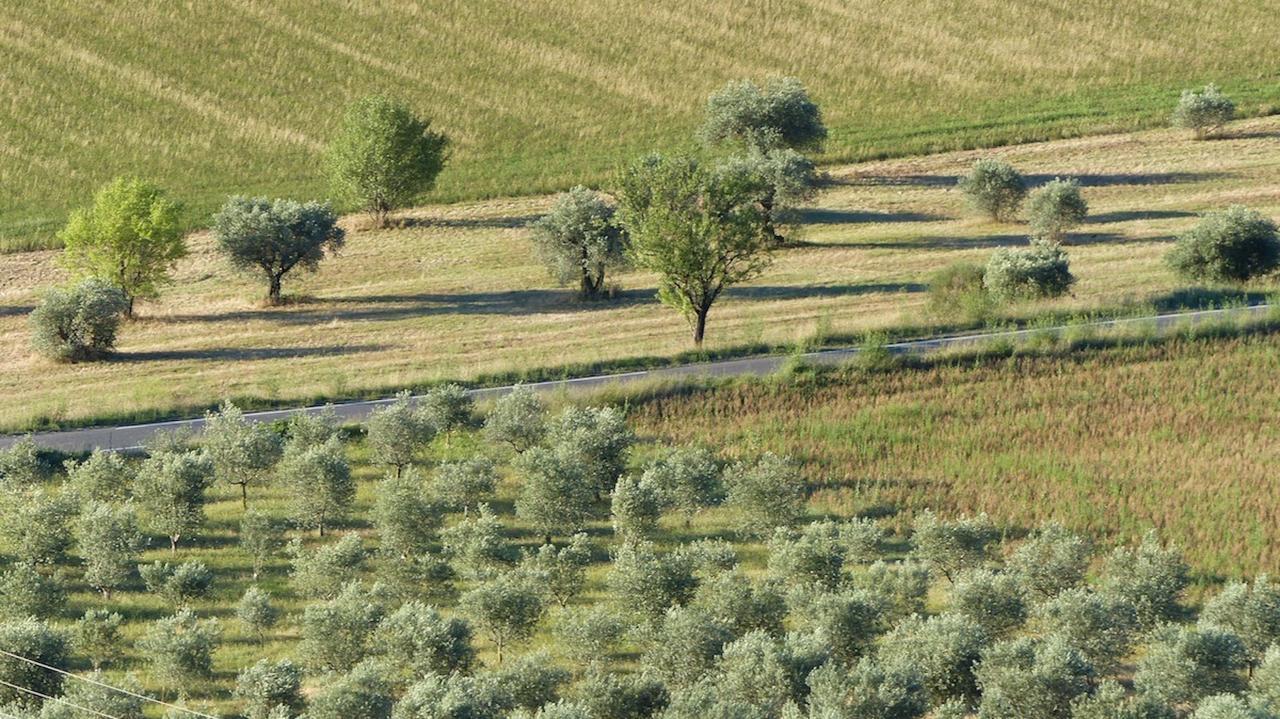 Les Vieux Murs Montfort  Екстериор снимка